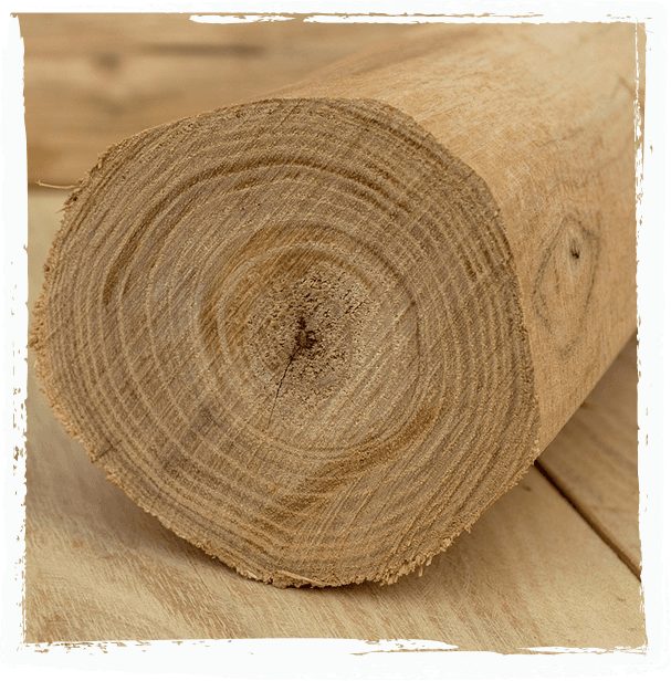 Close-up of a cut wooden log end showing its natural grain and growth rings, with more timber planks stacked behind.