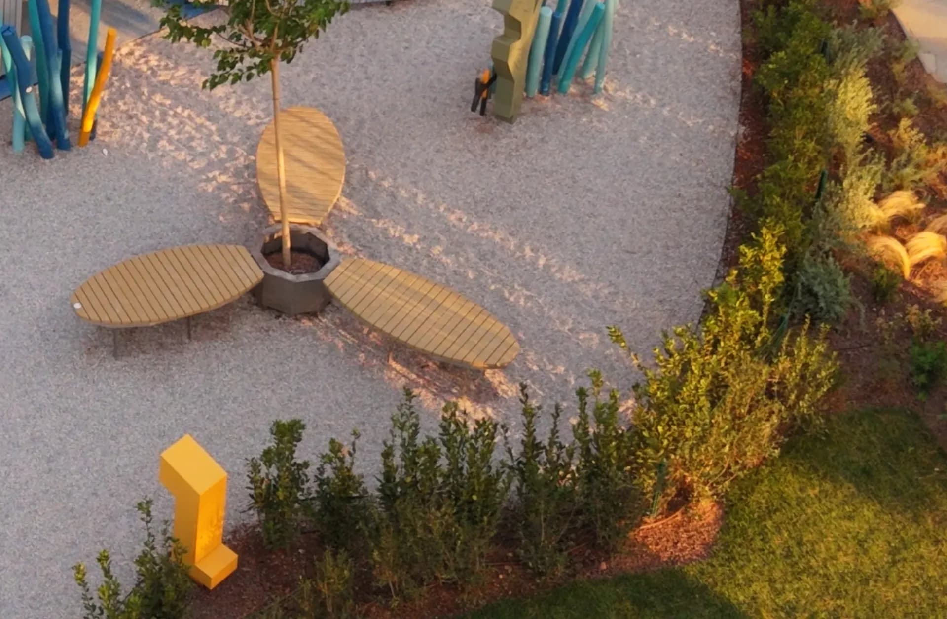 The sand zone with propeller shaped benches around a newly planted tree