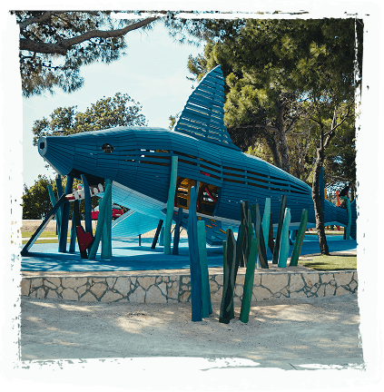 The timber shark structure at Sea World, seen from the side among pine trees.